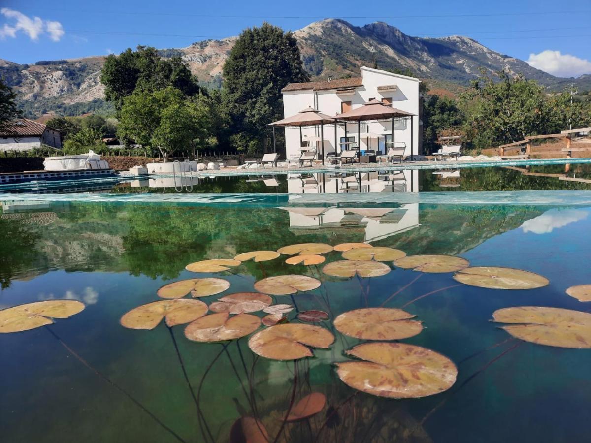 Villa Agriturismo Albero Del Miele San Rufo Exterior foto
